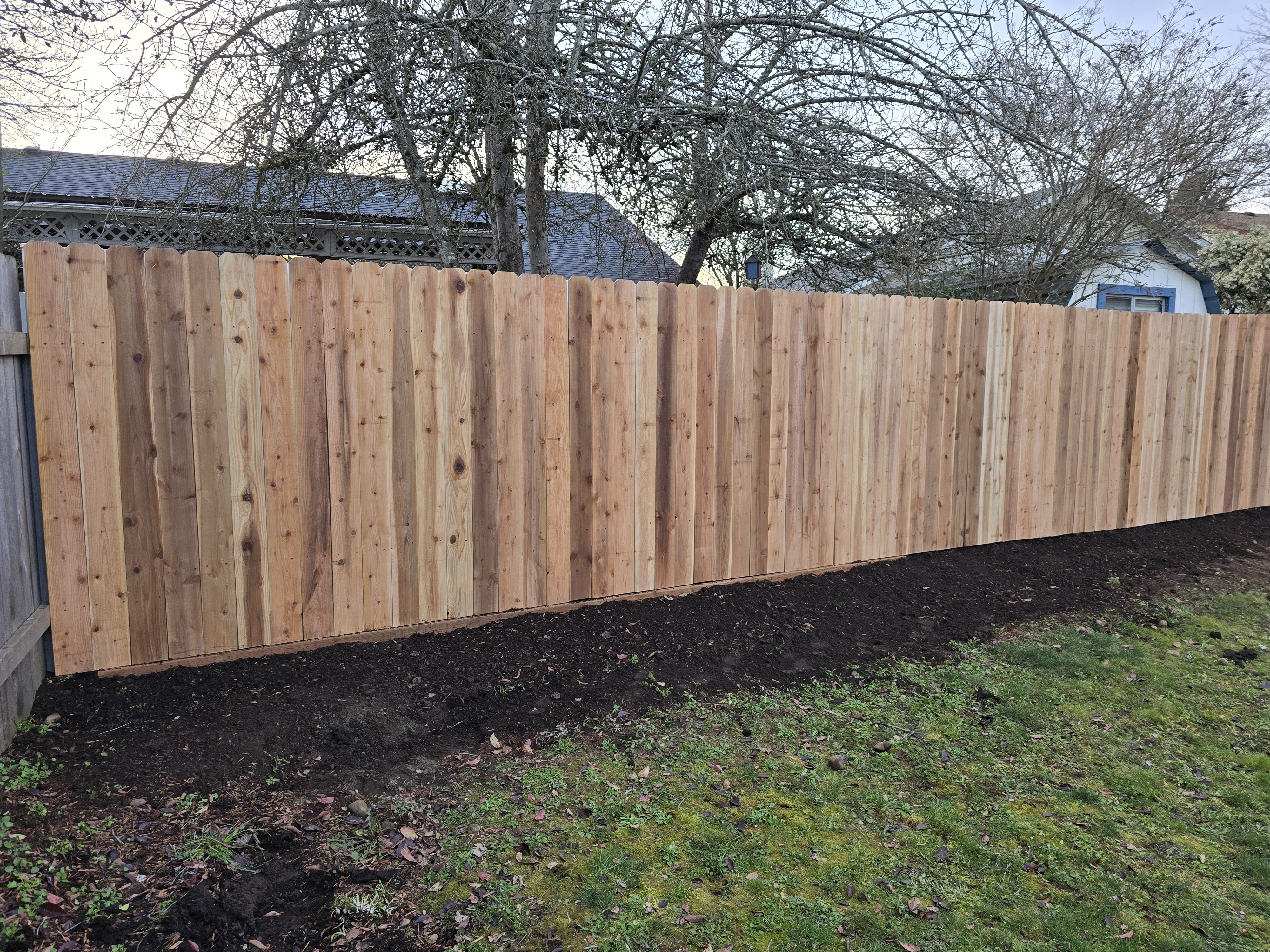 New cedar fence