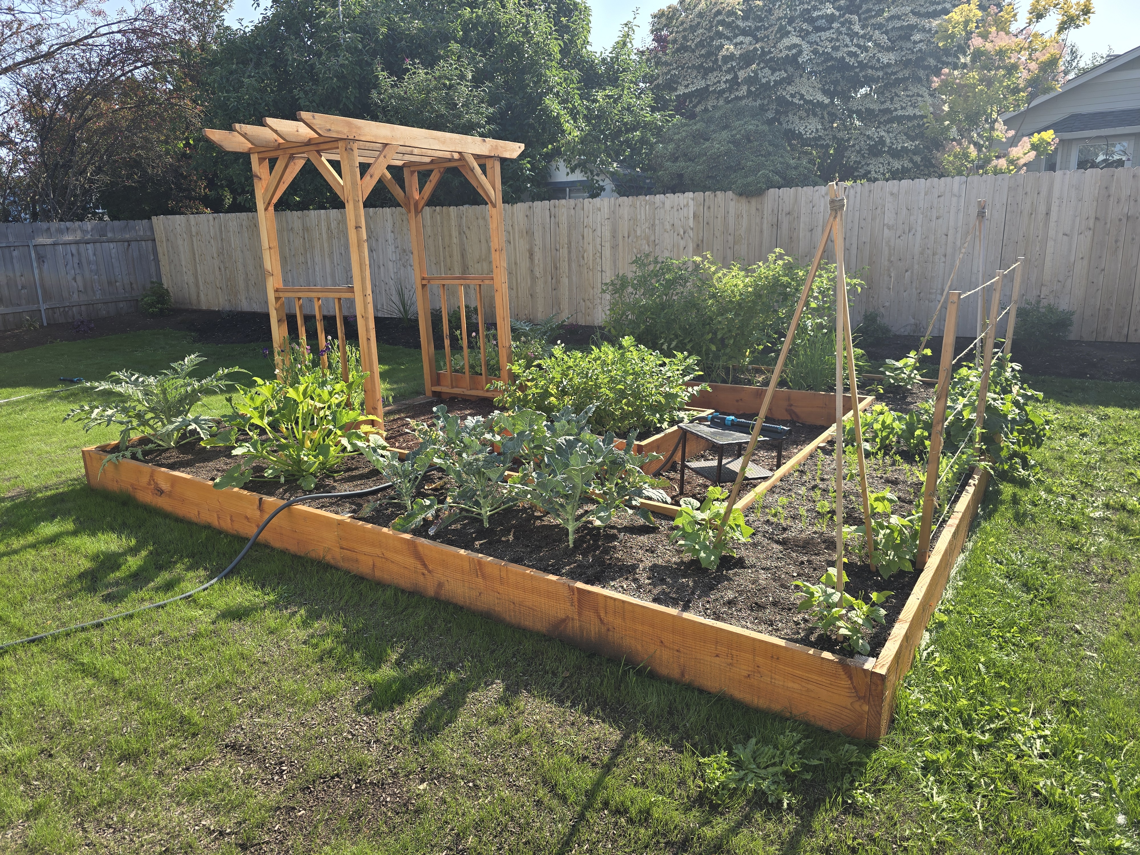 Mature garden beds
